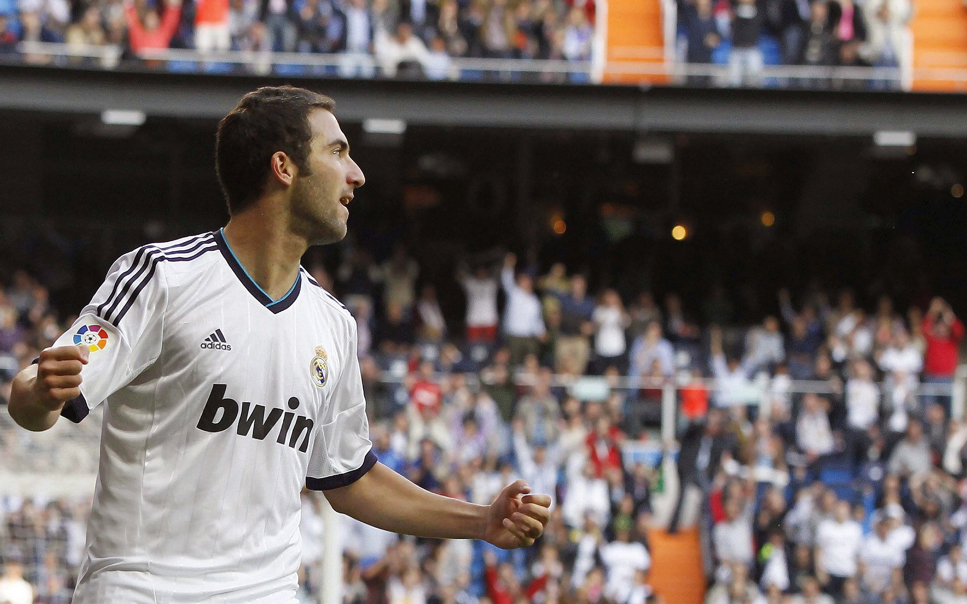 卡瓦哈尔的稳定输出,几内亚对阵厄瓜多尔中的不败防线